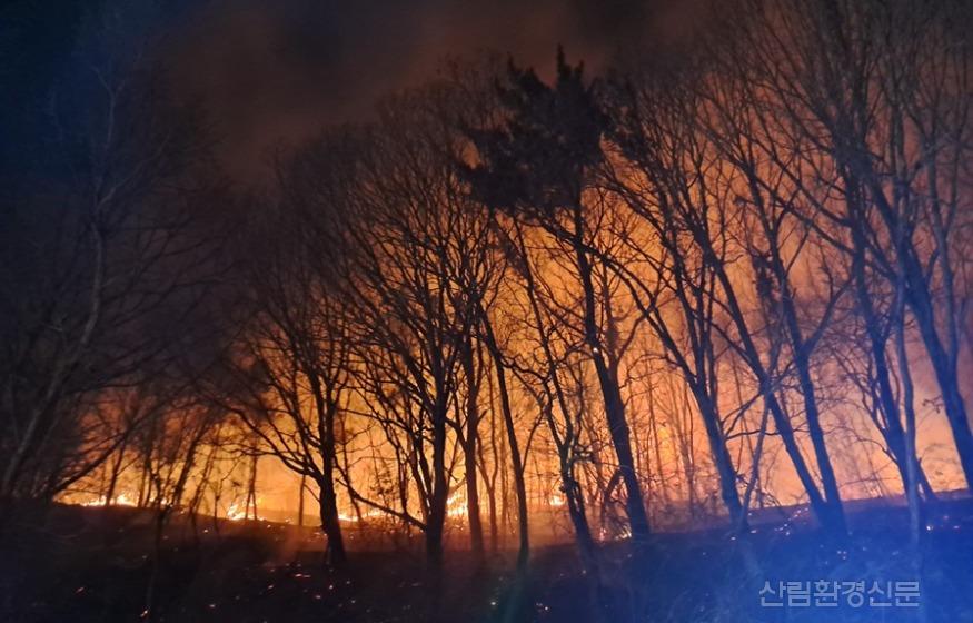 전남고흥260127.jpg