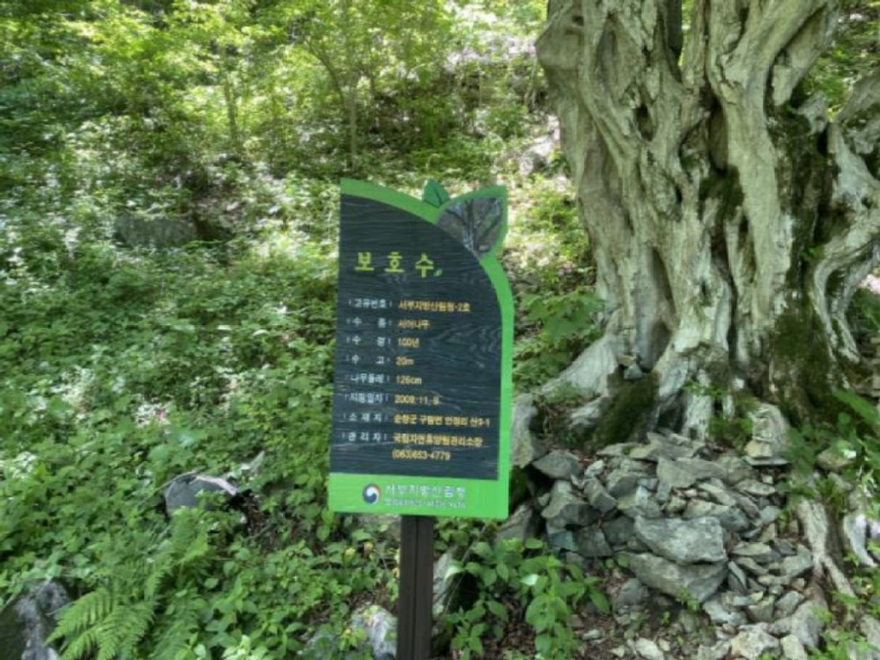 사본 -보도사진5.jpg