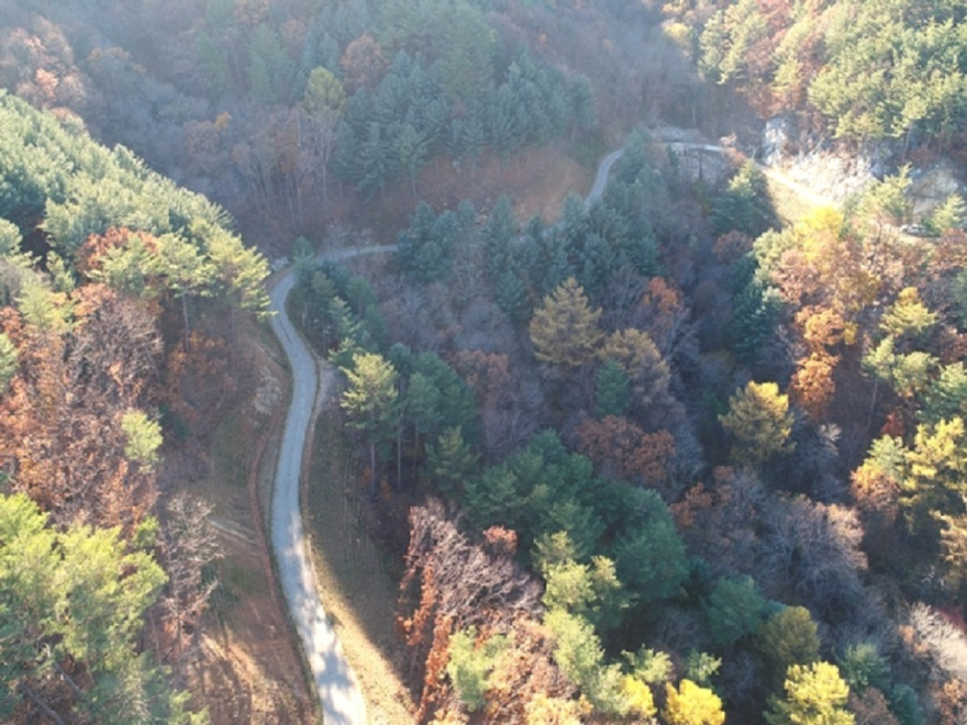 사진2.울산광역시 울주군 문수산 임도.jpg