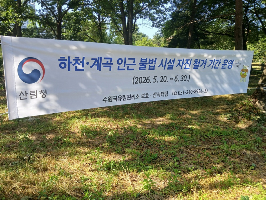 자료사진-자전철거 신고 기간운영.jpg