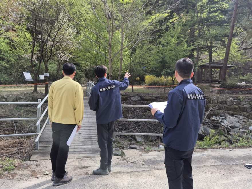 사진1.산림청은 13일 무분별한 수목 훼손 및 임산물 불법 채취 행위에 대해 유관기관 합동 수사 및 특별단속을 강화한다고 밝혔다.jpg