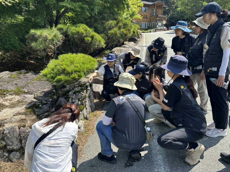 사진2.OECM네이처 챌린지 참가자들이 칠보산자연휴양림에서 산림생태를 관찰하고 있다.jpg