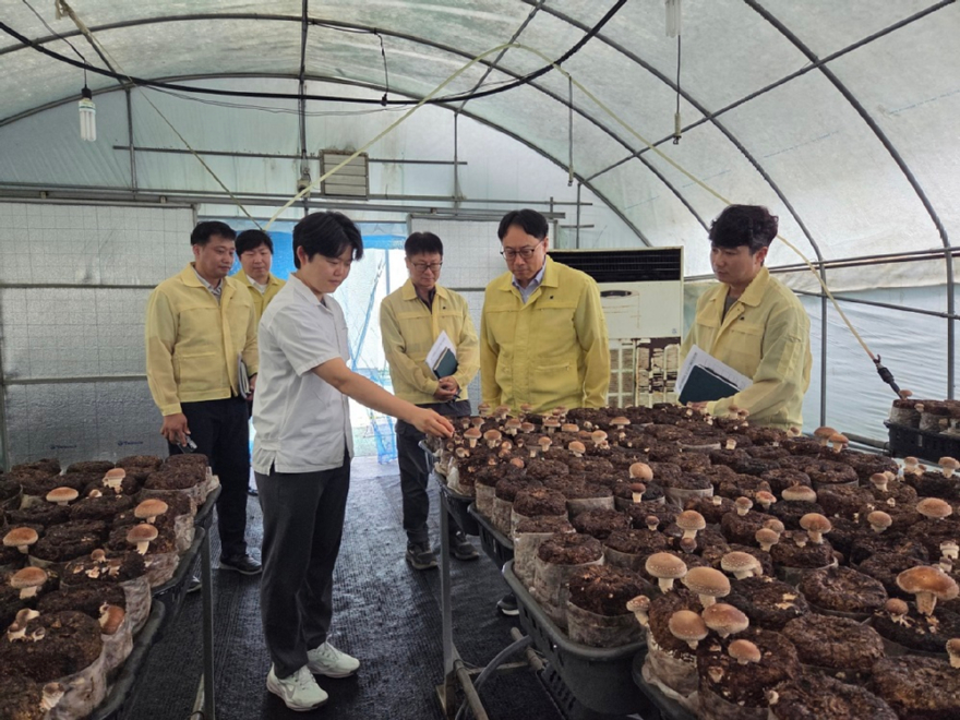 사진1.임하수 산림청 차장(오른쪽에서 두번째)이 27일 경북 상주시 표고버섯 재배임가를 방문해 민생현장을 점검하고 있다.jpg