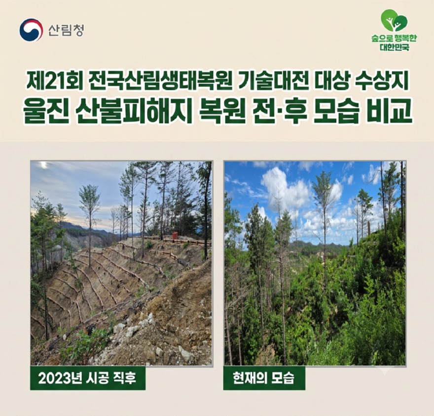 사진1. 울진 산불피해지 복원 전후 모습 비교.jpg