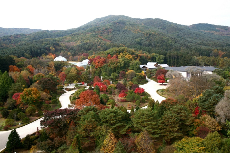 사진1.세계 보호·보전지역 데이터베이스에 OECM으로 공식 등재된 광릉숲 전경.jpg