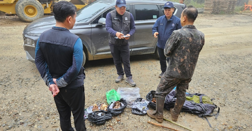 사진2.산림특별사법경찰이 가을철 산림 내 불법행위를 집중 단속을 하고 있다.jpg