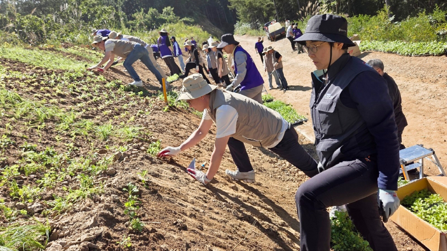 자생식물 식재행사 사진 (1).jpg
