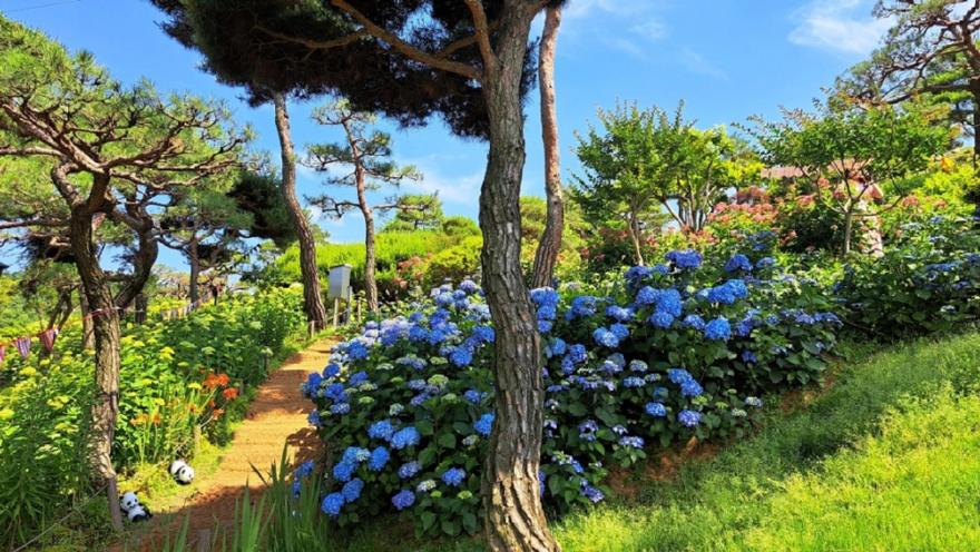 사진1.충청북도 청주시 공간정원.jpg