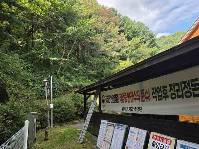 홍천 산불방지 안전공간 조성사업 착수(2).jpg
