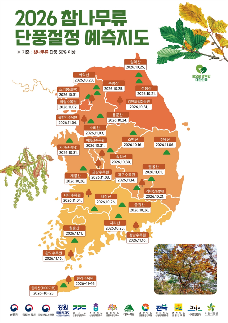사진2. 2026 단풍절정 예측지도-참나무류.jpg