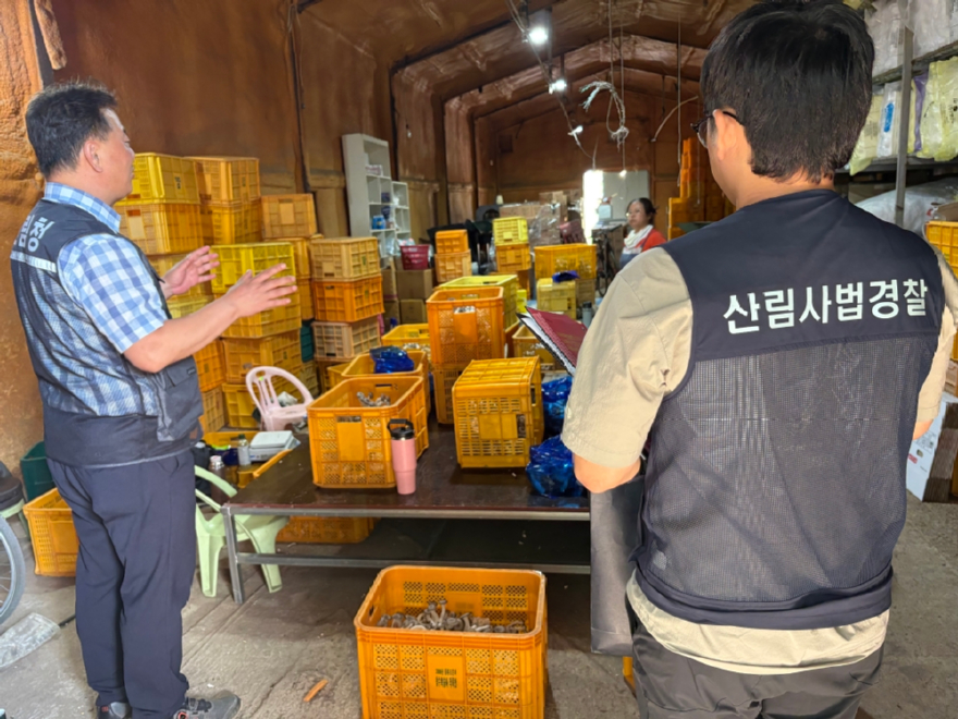 관련 사진 1.jpg