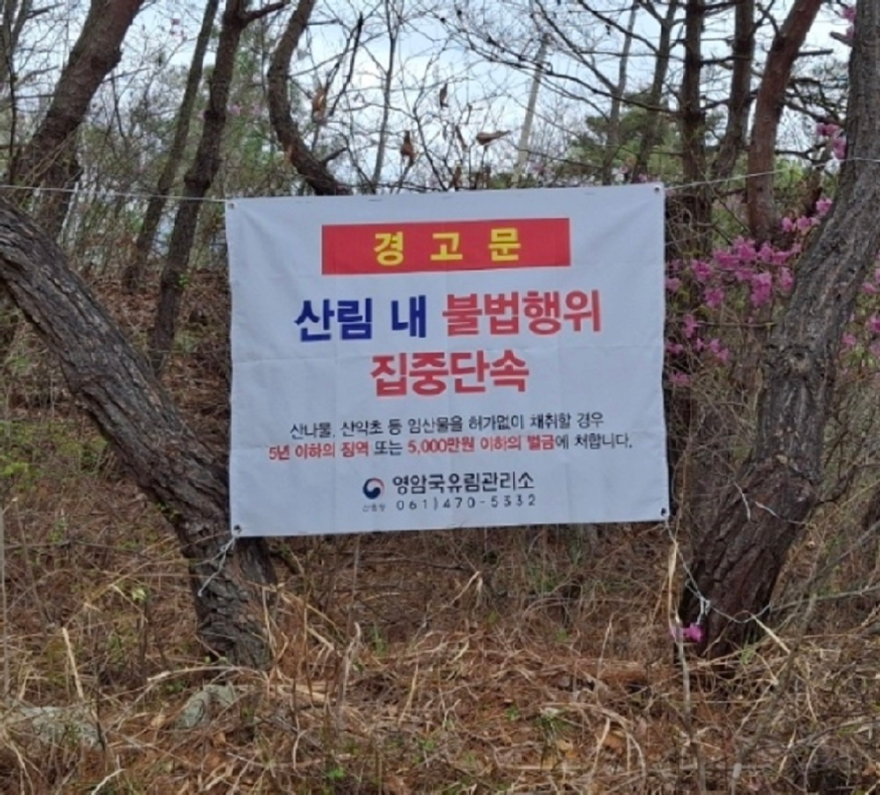 사진(가을철) - 복사본.jpg